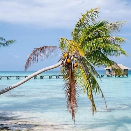 Sunset Hill Lodge Bora Bora Bagian luar foto