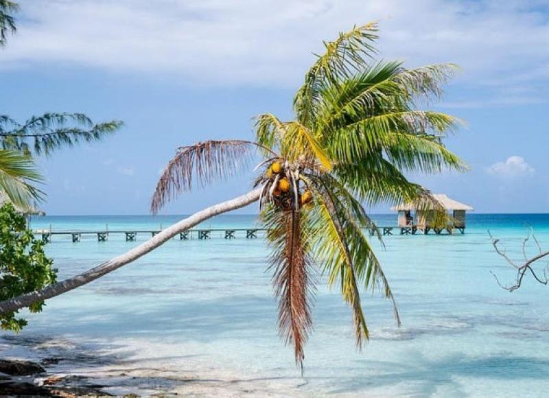 Sunset Hill Lodge Bora Bora Bagian luar foto